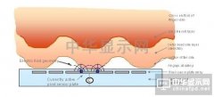 指紋識別為什么應該成為智能手機的標配？