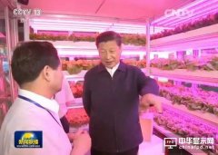 習大大為何頻頻關注中國LED照明發展?