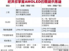 AMOLED面板 明年全面國產化