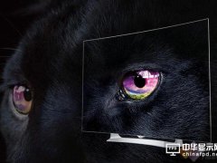 LG力拼智能家電 OLED電視會快速普及