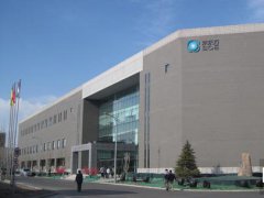 王東升：行業將迎洗牌 京東方轉型物聯網