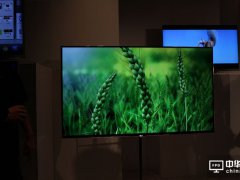 柔宇或攜手華為、Vivo和Oppo籌組聯盟 投資OLED面板
