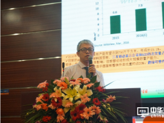 綠泰電子劉鴻達：專注開發超廣色域和超低功耗高端手機屏