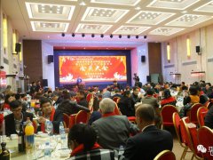 辭舊迎新 “深圳市平板顯示行業(yè)協(xié)會(huì)年會(huì)暨2017年顯示產(chǎn)業(yè)春茗會(huì)