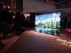 OLED面板未臻成熟 Sony選擇與液晶并行發展