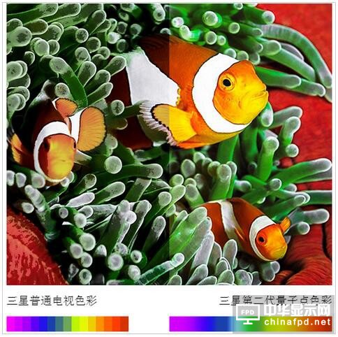 三星電子：2017年彩電業(yè)將進(jìn)入QLED時代