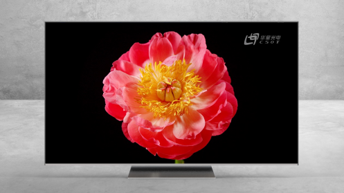 TCL TV張少勇：TCL Mini LED已量產(chǎn) 全球銷(xiāo)量市占率超90%
